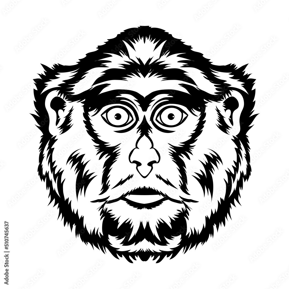 Patas Monkey face vector illustration in hand drawn style, perfect for tshirt style and mascot logo