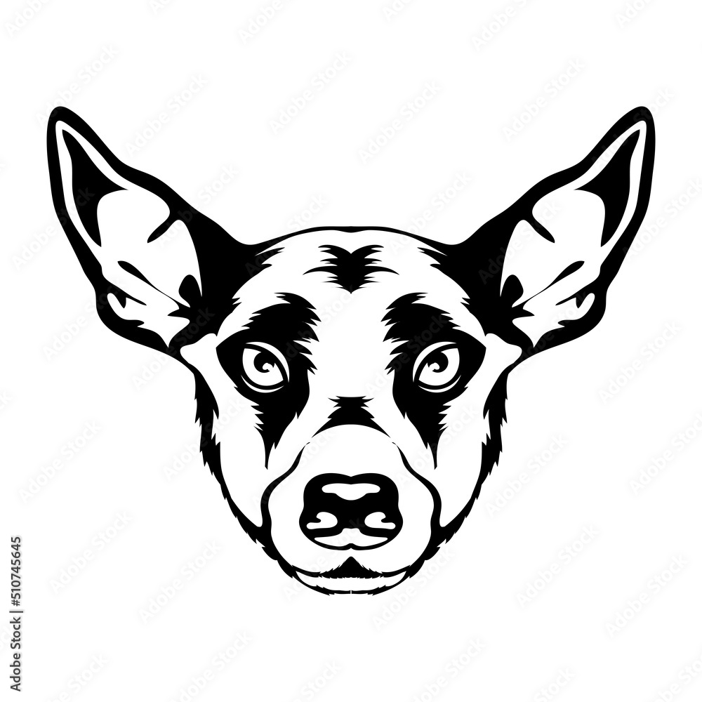 Peruvian hairless dog face vector illustration in decorative style, perfect for tshirt style and mascot logo 