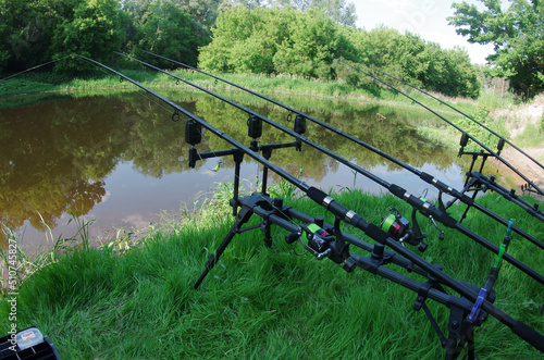 Carp fishing rods on stands against the background of a river b