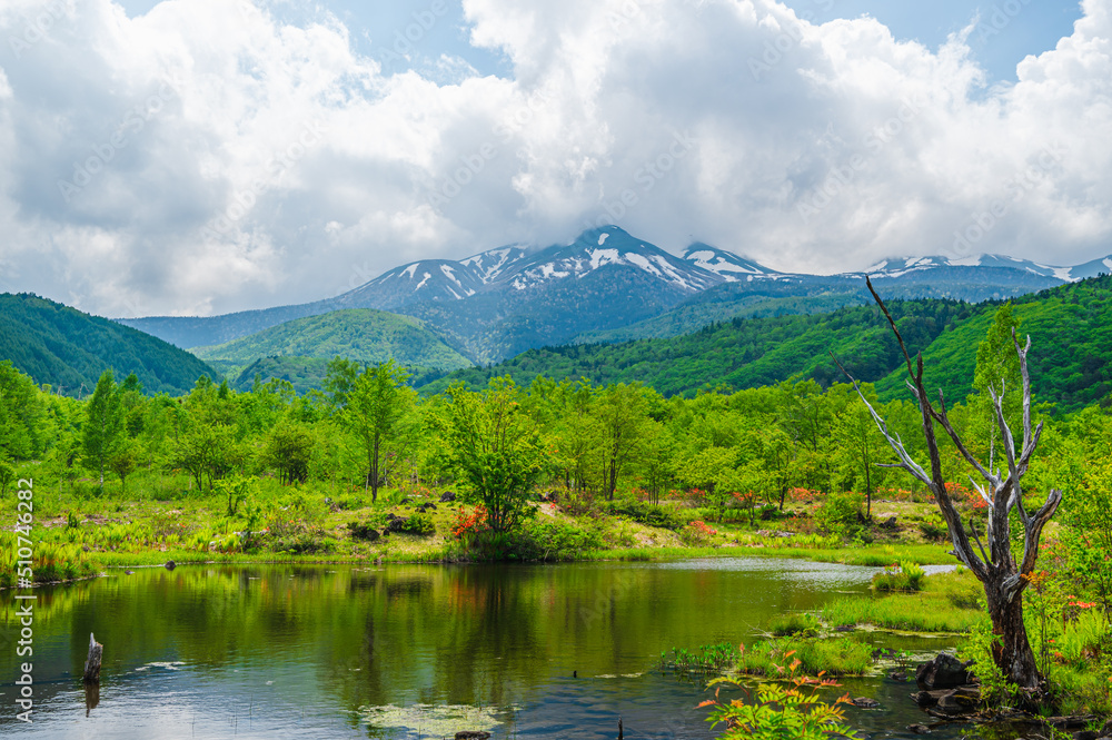 梅雨時の雲りがちな乗鞍オソメ池