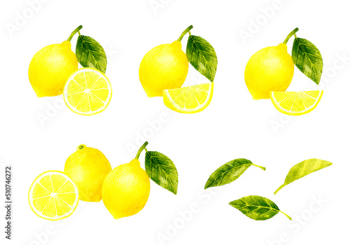 レモンの果実のイラストセット フルーツの手描き水彩イラスト素材集