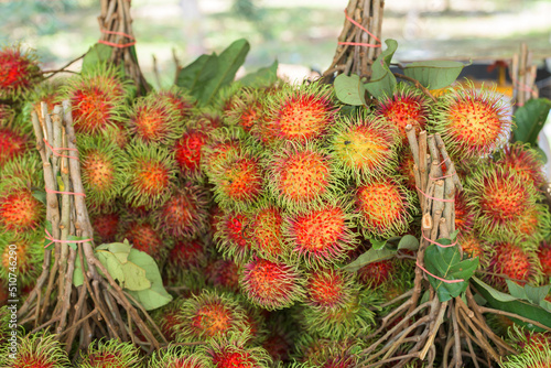 Close up of rambutan (Nephelium lappaceum) photo