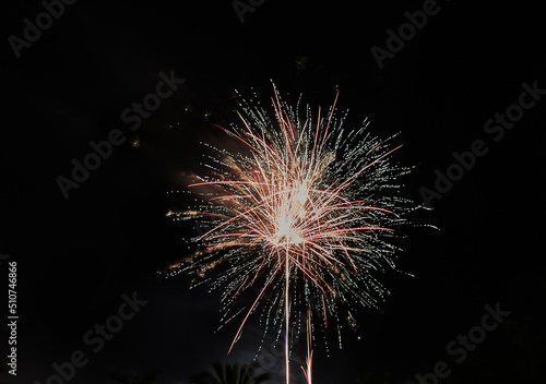 Multicolored fireworks in the night sky. Celebration of Independence Day  New Year and other holidays