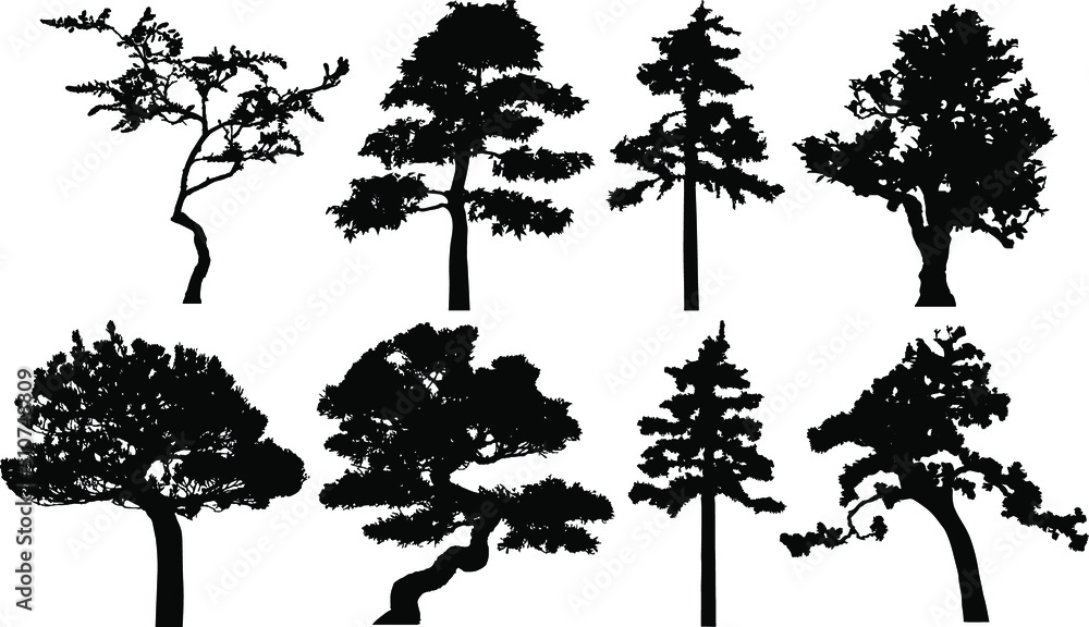 Fototapeta premium Vector silhouette of tree. Isolated eps 10.