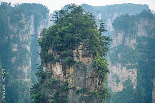 The top of the Avatar Hallelujah mountain covered by pine trees forest in Wulingyuan National forest park  Zhangjiajie  Hunan  China