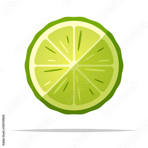 Lime slice vector isolated illustration