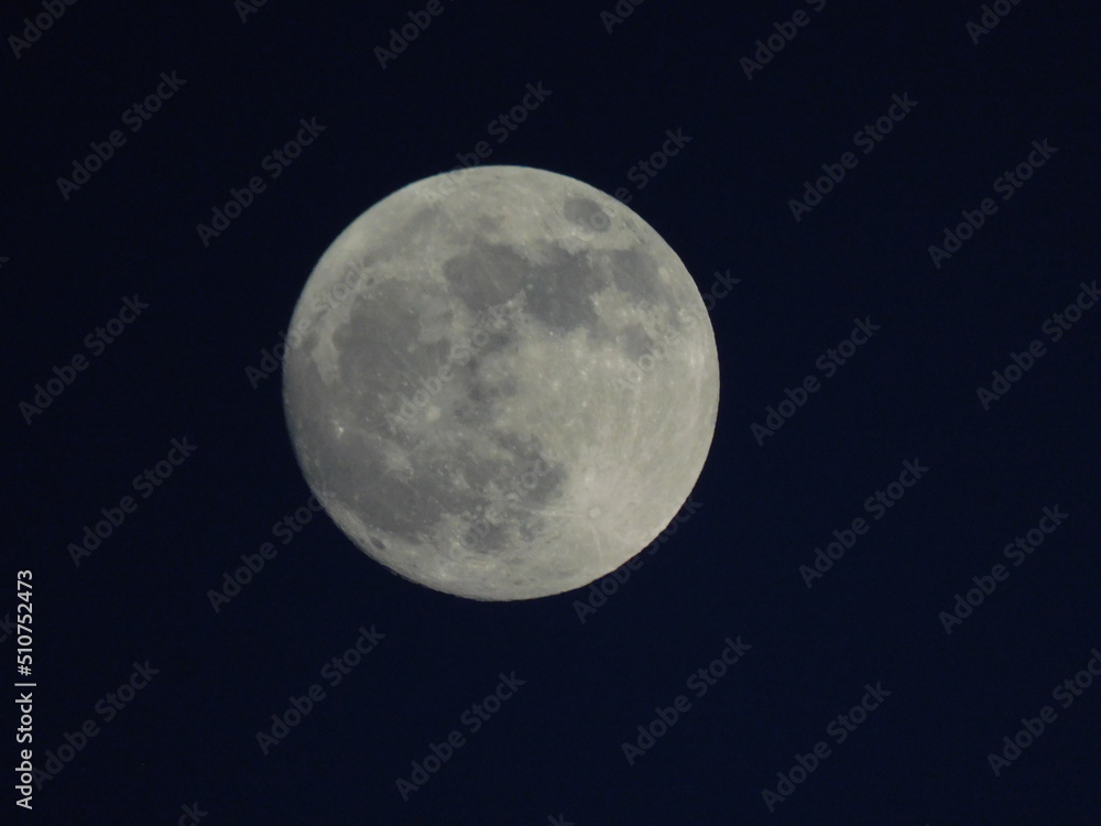 moon moon