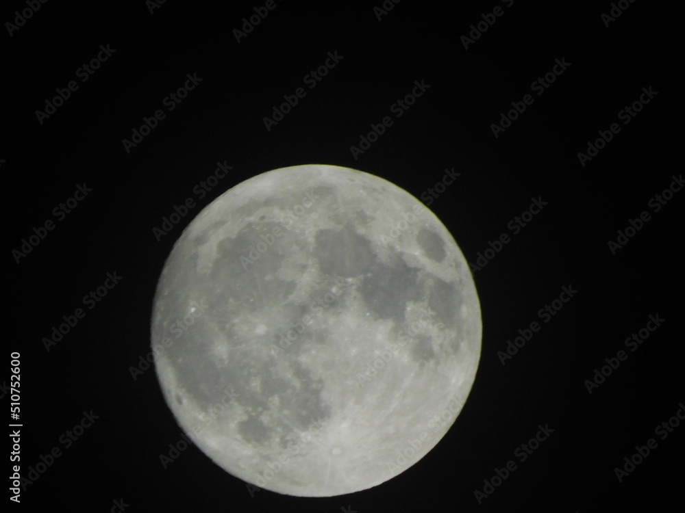 full moon in the night