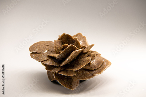 Close up horizontal shot of the selenit mineral, gypsum flower, desert rose or satin spar isolated on white, souvenir from the Gobi desert, China, Copy space for text on the top of the image photo