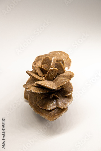 The right angle vertical picture of the selenit mineral, gypsum flower, desert rose or satin spar isolated on white, souvenir from the Gobi desert, copy space for text photo
