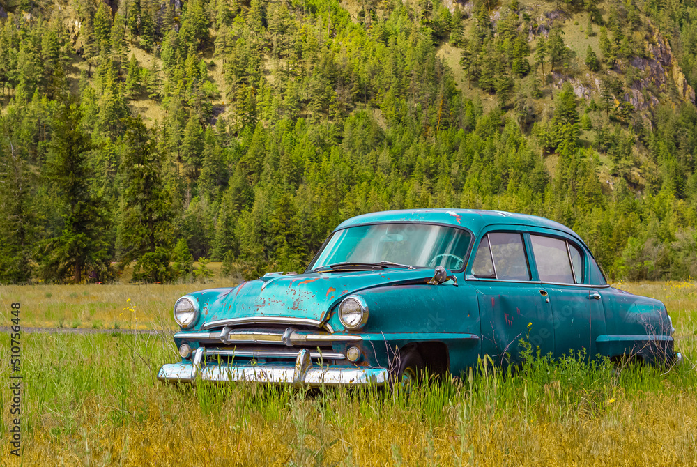 Abandoned rustic car on the hill in summer park
