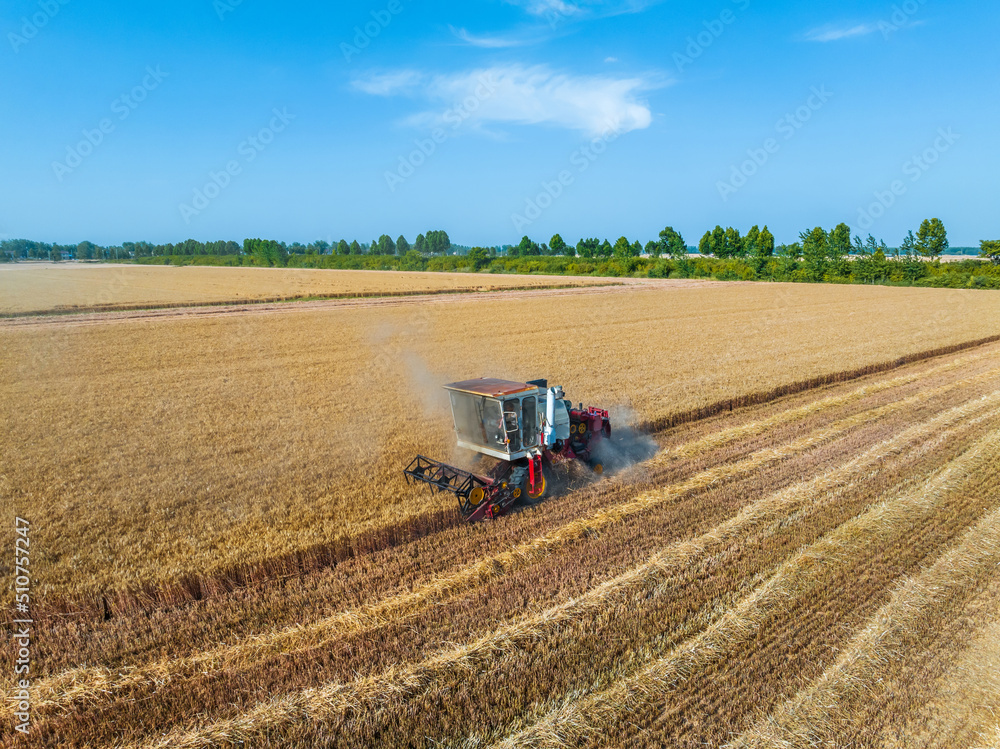 Harvesters work on the farm. Combine harvester agricultural machine is harvesting golden ripe wheat field. Agricultural scene. Aerial view from above. Harvesters work on the farm. Combine harvester agricultural machine is harvesting golden ripe wheat field. Agricultural scene. Aerial view from above.