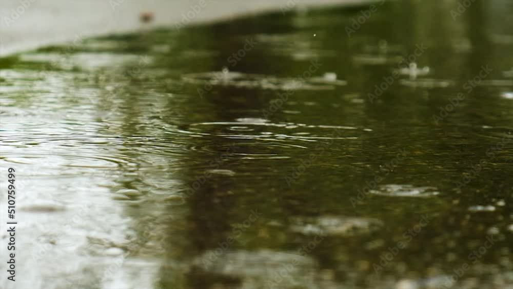 Rain drips into puddles. Selective focus. Rain drips into puddles. Selective focus.