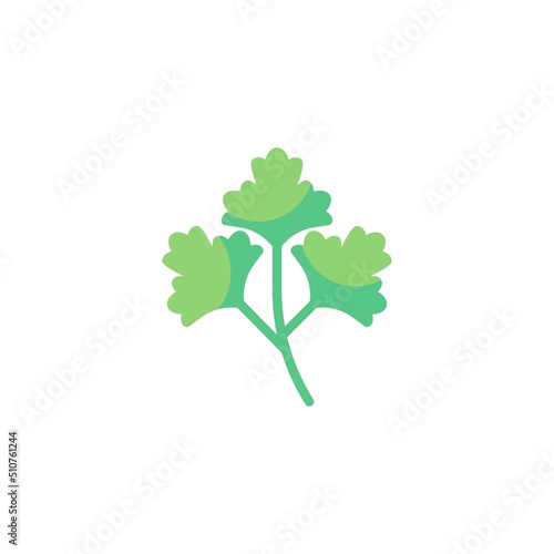 Parsley leaf flat icon