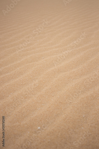 Sand dunes with wind waves. Marks with wavy shapes in the sand due to the action of the wind. Elements and forms of nature.