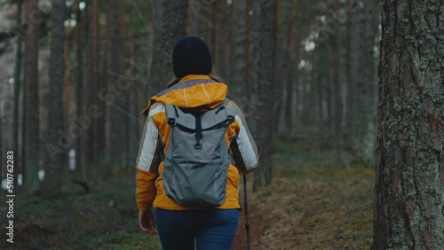 Wallpaper Mural Young woman hiking in thick forest. Stops at tree trunk and looks up to treetop Torontodigital.ca