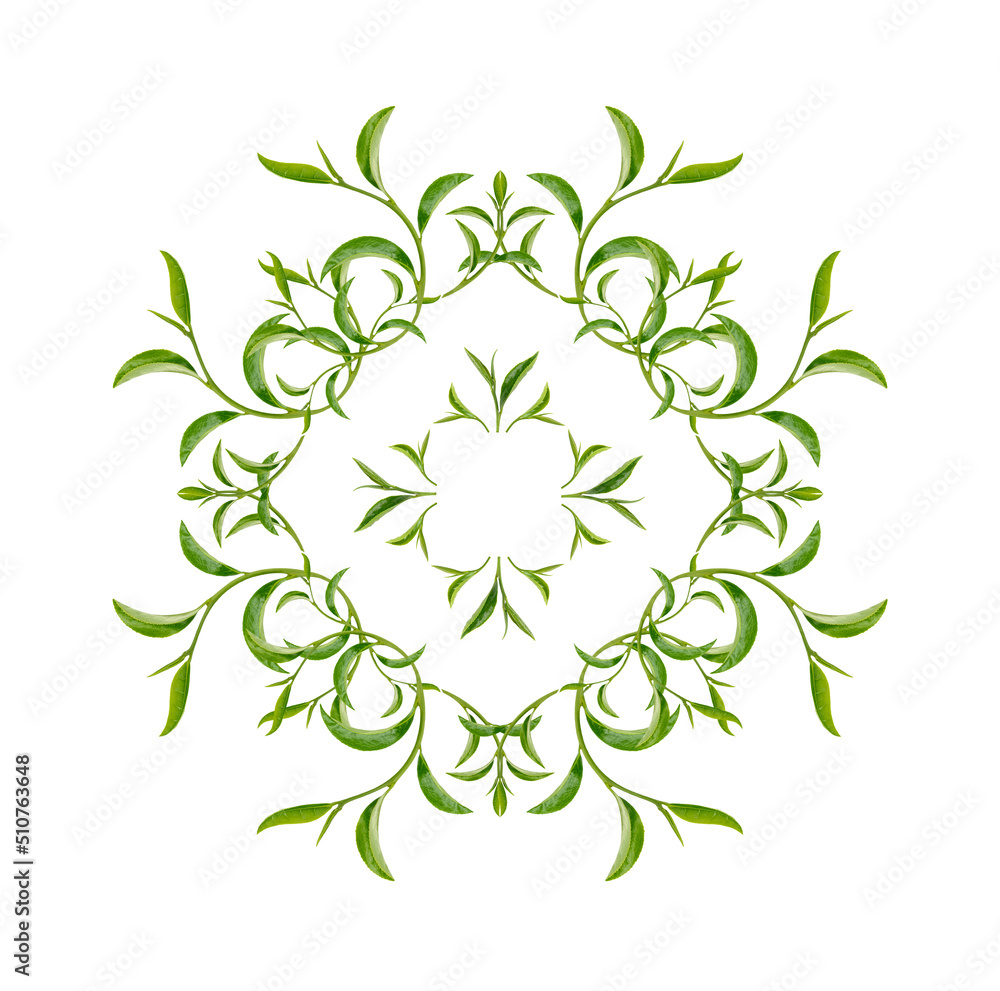 Fototapeta premium Art pattern green tea leaves on white background