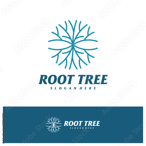 Fototapeta Naklejka Na Ścianę i Meble -  Tree Root logo design vector template, Tree logo concepts illustration.