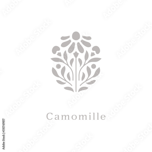 camomile, herb flower, vector symbol design