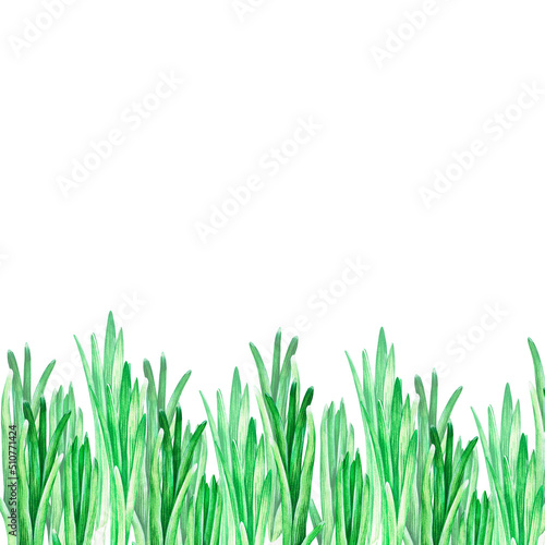 Green onions banner. Watercolor illustration. Isolated on a white background. For your design.
