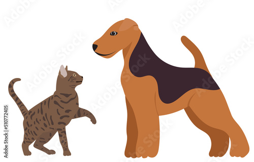 dog and cat in flat design  isolated