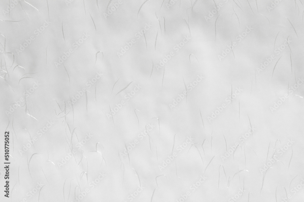 Poster Korean paper texture . old rice paper texture seamless. – Wall ...