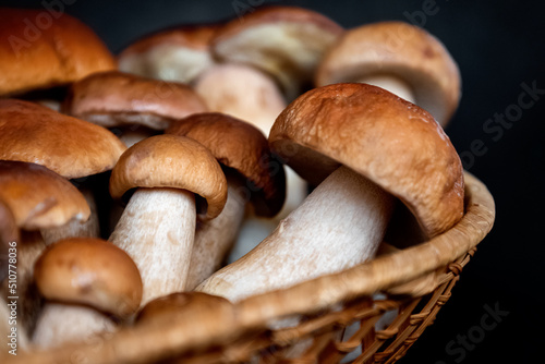 wicker basket filled with harvested boletus porcini mushrooms close up