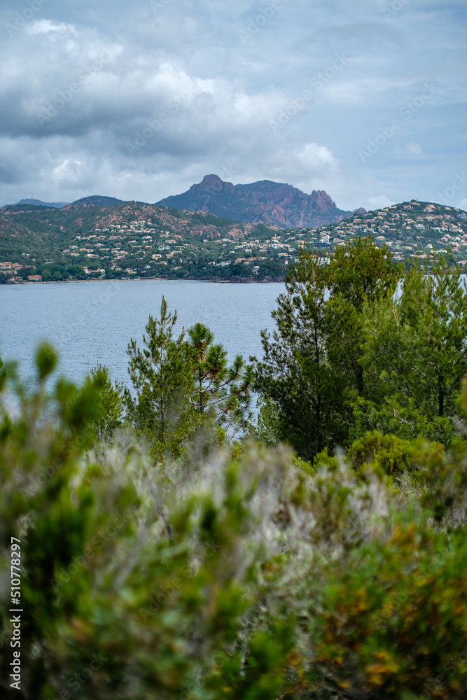 Nature reserve coastline of Provence around Saint Raphael near Cannes with stunning views and vivid vegetation in the late afternoon light.