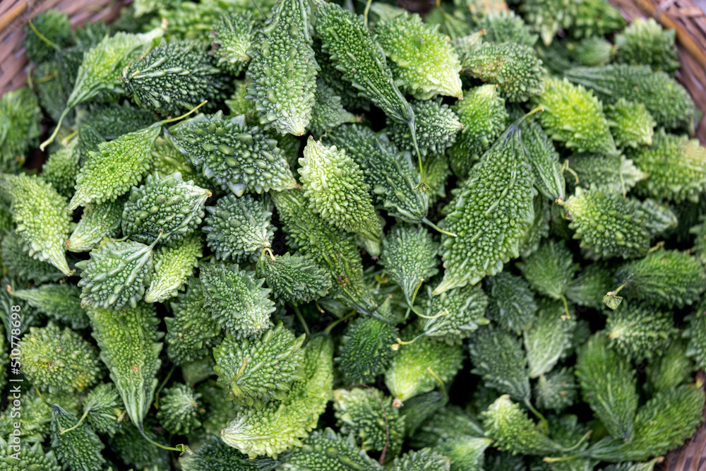 Green Bitter in Corolla vegetables Healthy Food
Green Bitter in Corolla vegetables Healthy Food