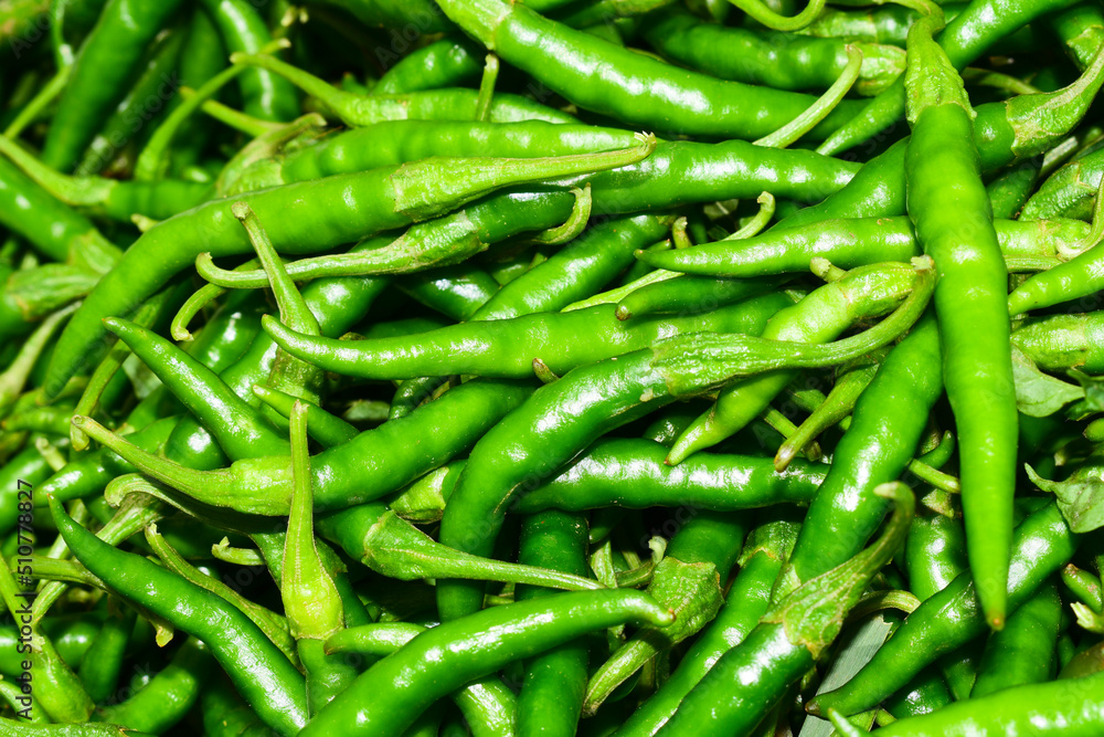 Close up top view of freshly harvested green chillies Close up top view of freshly harvested green chillies