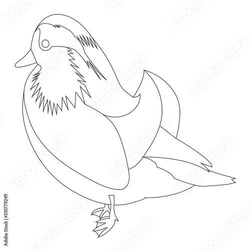 mandarin duck outline sketch ideal for coloring school children