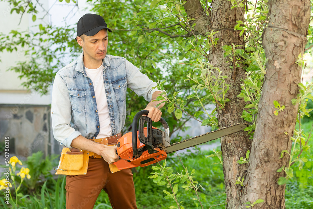 Obraz premium Man cutting a branch with chainsaw