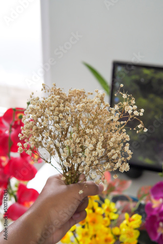 baby breath flowers in a hand