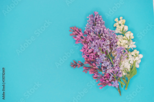 Fresh branches of lilac bush on the creamy blue paper, copy space