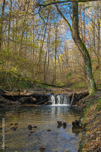 Fototapeta Naklejka Na Ścianę i Meble -  A small waterfall on a forest stream.