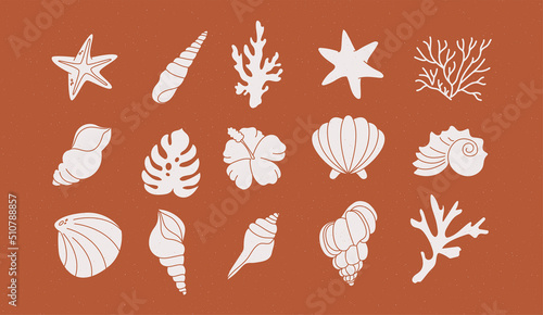 Summer icons set with corals, palm leaves and seashells. Cute sea, ocean and brown background with sand. For social media, accommodation rental and travel services.