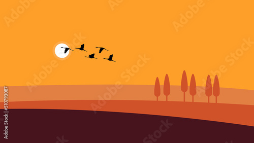 Storks fly over the field at sunset