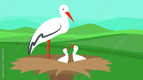 Canvas Print Stork feeding her chicks in the nest