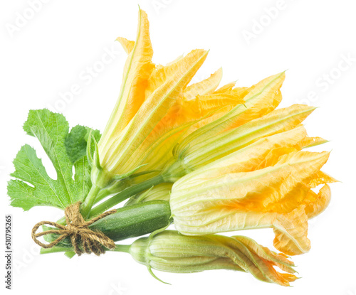 Zucchini flowers on a white background.