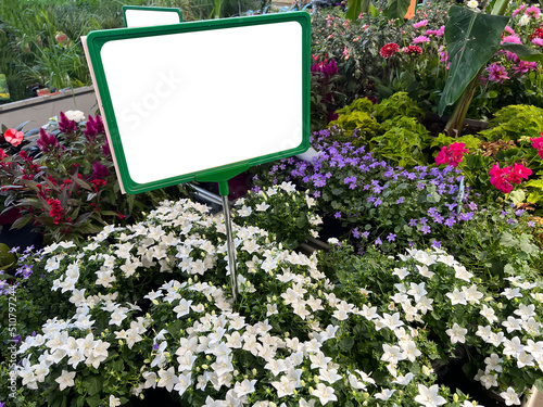 garden flowers on shop shelf with white empty info signage board sign
