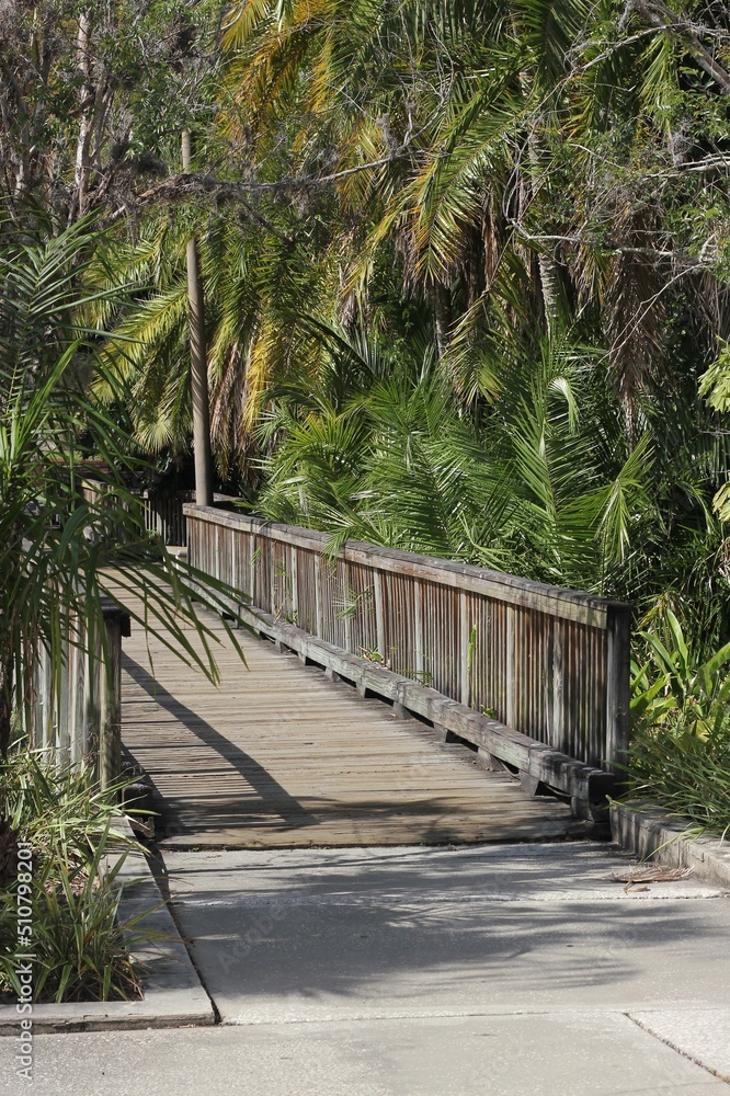 Fototapeta premium wooden bridge in the park
