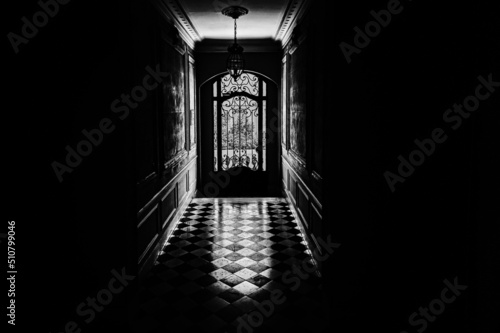 photography in black and white. front door of a residential building