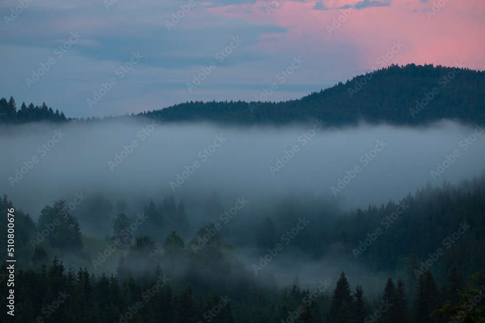 Landscape with fog over the forest in the evening