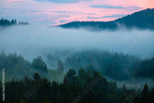 Landscape with fog over the forest in the evening © sebi_2569