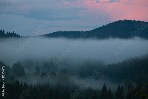 Landscape with fog over the forest in the evening © sebi_2569