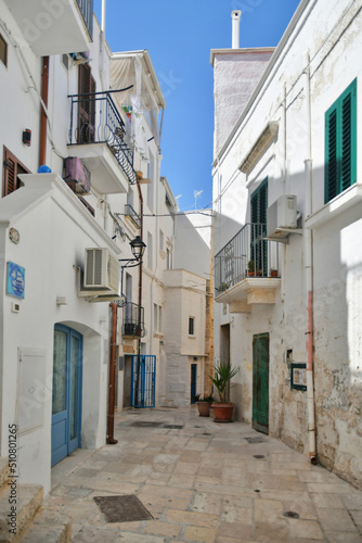 A small street between the old houses of Polignano a Mare. medieval town in the Puglia region in Italy. © Giambattista