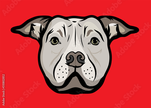 American Staffordshire bull Terrier dog isolated vector illustration