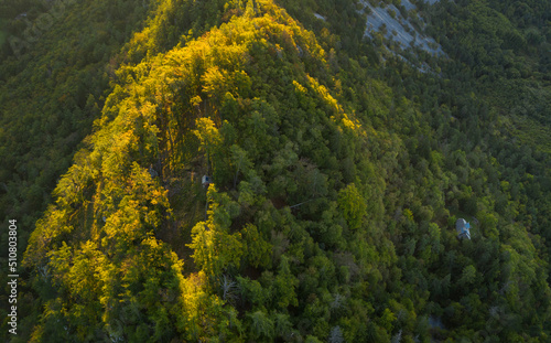 Aerial view of the forest and valley at sunrise
