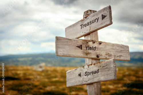 treasury yield spread text quote on wooden signpost outdoors in nature. Inflation, economy and finance concept.