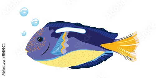 Photos Hand drawn blue dory fish with bubbles isolated.